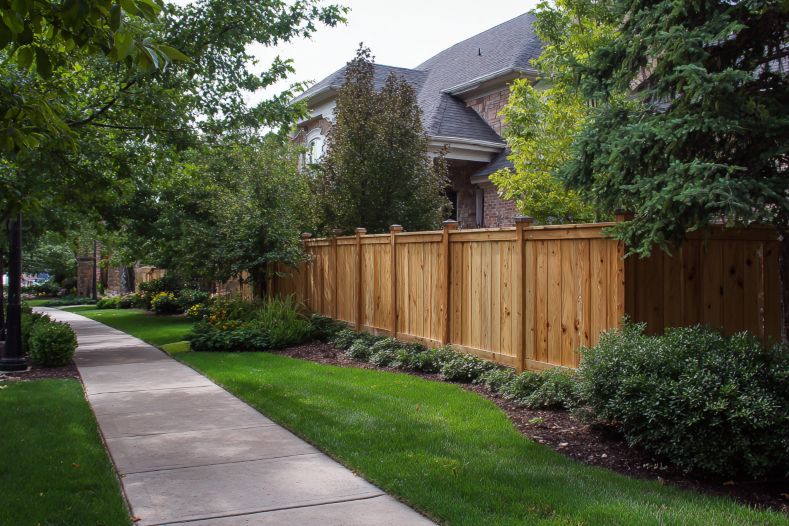 Framing Your Dream Home’s Future
